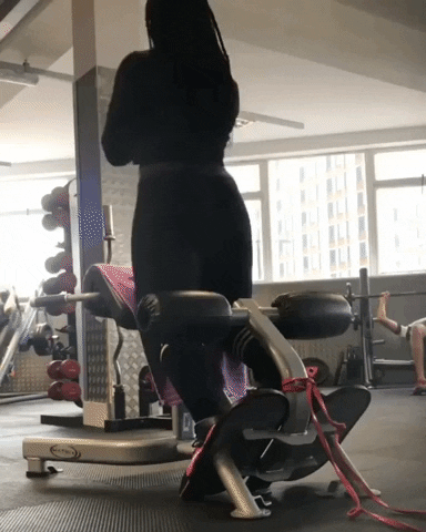 giphy.gif