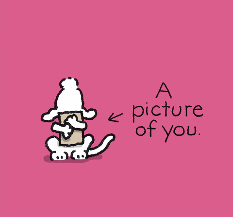 Chippy the Dog GIF