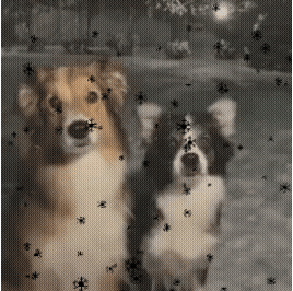 giphy.gif
