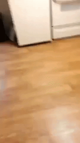 This is how sink work in funny gifs