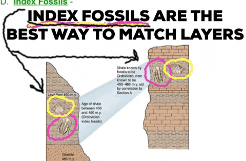 Index fossils are the best Geology: Characteristics