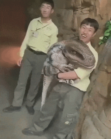 Welcome to Jurassic park in funny gifs