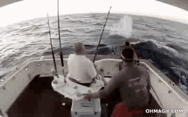 Boat GIF - Find & Share on GIPHY