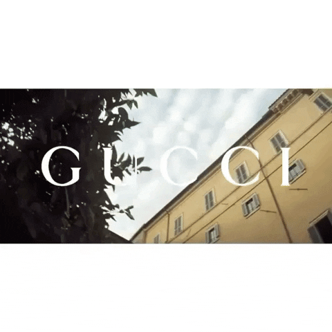 Giphy/Gucci/Reprodução