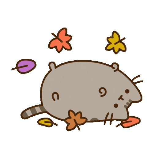 pusheen