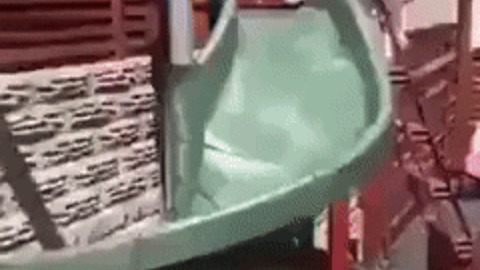 What could go wrong sliding on kids slide