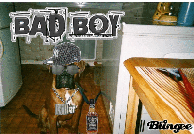 Jxhg GIFs - Find & Share on GIPHY Jxhg GIFs - Find & Share on GIPHY