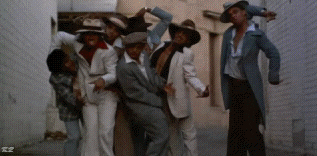 giphy.gif