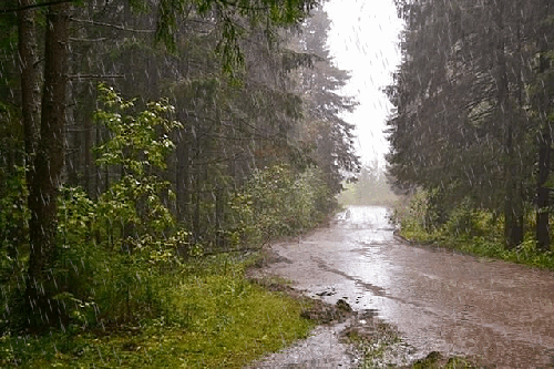 Image result for rain gif