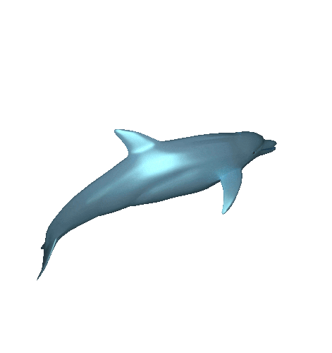artists on tumblr dolphin