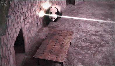 https://media.giphy.com/media/MiR8WsxROOH4I/giphy.gif