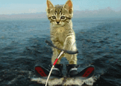 cat lake skiing large waters