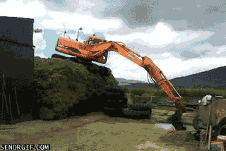 Digger Wtf GIF by Cheezburger - Find & Share on GIPHY