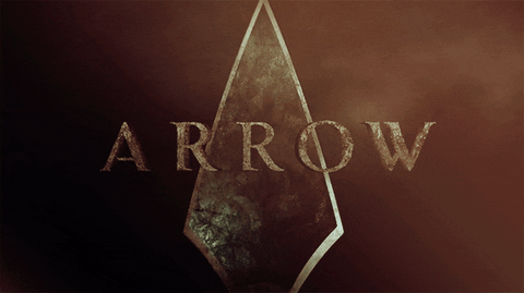 Image result for the arrow logo gif