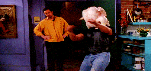 Le Gif du jour - Page 27 Giphy