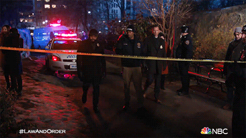 Law and Order GIF