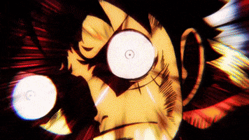 One Piece Merchandise