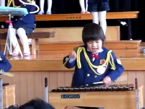 Xylophone GIF - Find & Share on GIPHY