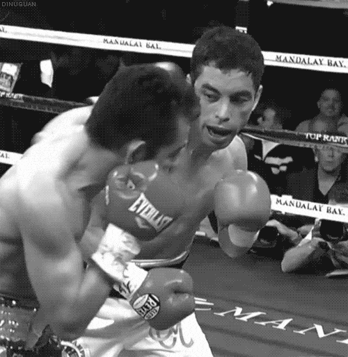 Boxing GIF Find & Share on GIPHY