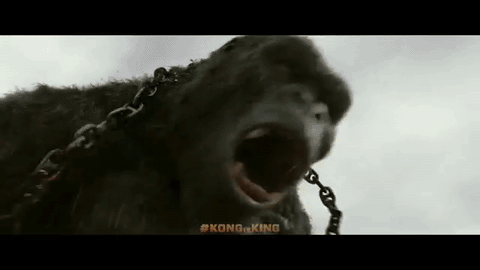 Kong Skull Island GIF - Find & Share on GIPHY