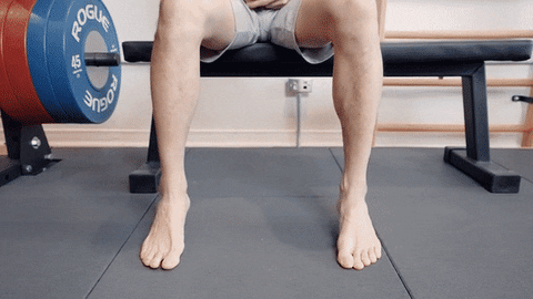 seated tibial rotations