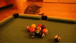 Pool Table Care Tips by Tom Kat - Nashville Billiard & Patio
