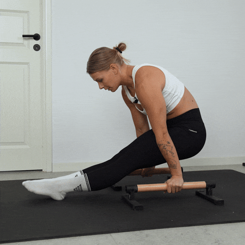l sit support hold exercise demonstration