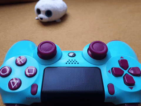 giphy.gif