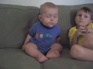 giphy.gif
