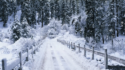 Resultado de imagem para gif neve ushuaia