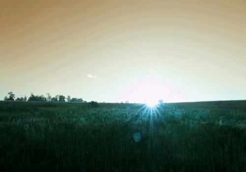 Nature GIFs - Find & Share on GIPHY