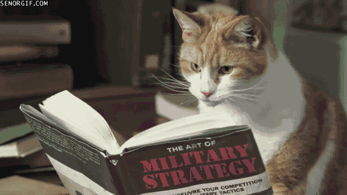 Gif de um gato lendo um livro para aumentar o seu repertório sociocultural sobre estratégias militares.