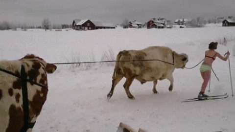 Together best Gif