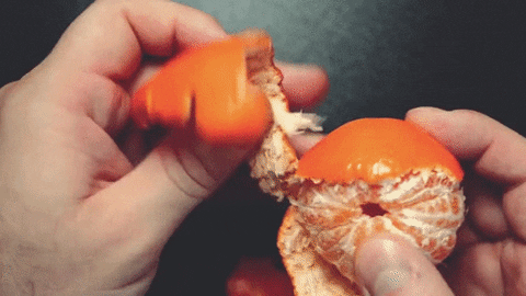 Tangerine GIF - Find & Share on GIPHY