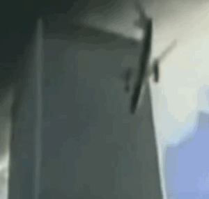 giphy.gif