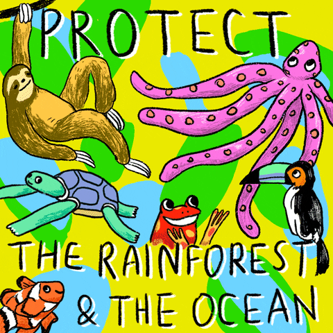 Gif of rainforest and ocean creatures, with words protect the rainforest & the ocean