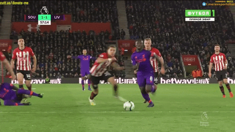 giphy.gif