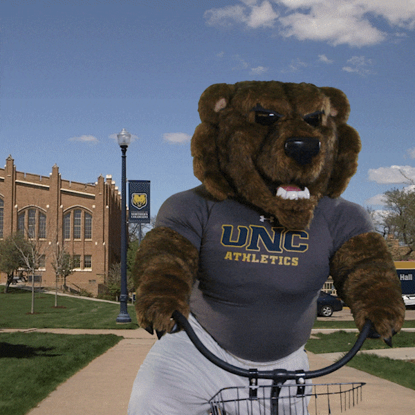 College Bear By University Of Northern Colorado Find And Share On Giphy 5099