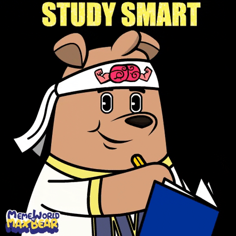 Studiul inteligent înseamnă repetare, verificare și corectarea greșelilor