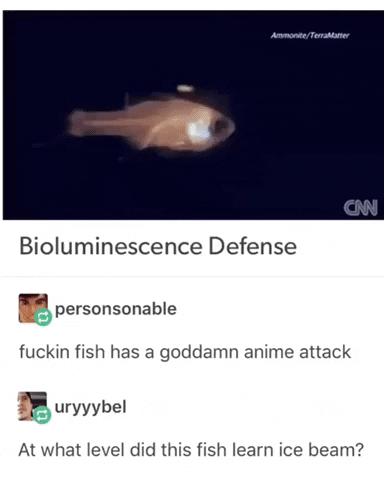 This fish has anime type attack in science gifs