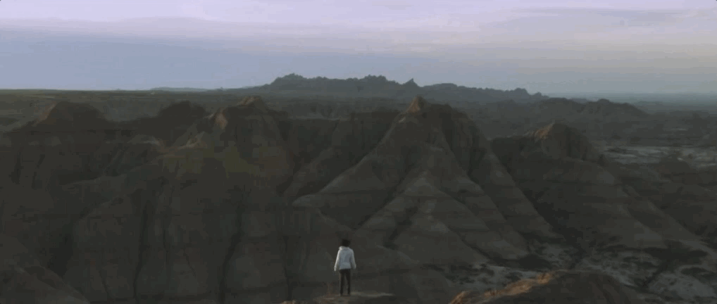 Music Video Dog GIF by Conner Youngblood
