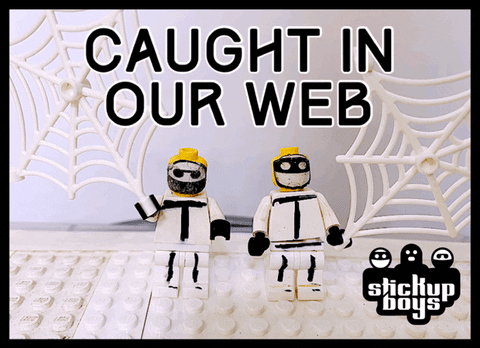 giphy.gif
