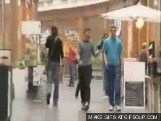 giphy.gif