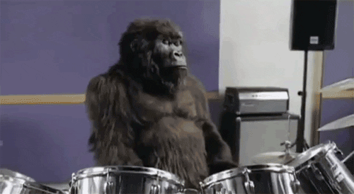 Gorilla playing the drums (Phil Collins obvz)