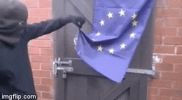 https://media.giphy.com/media/Nb40EJ1z8rc7m/giphy.gif