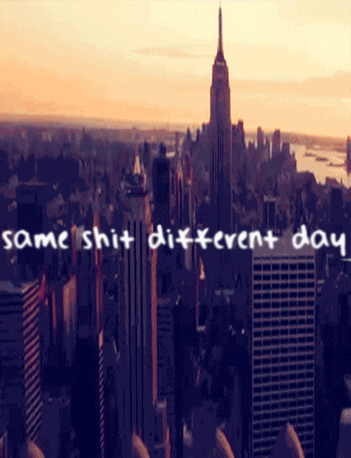 New York GIF Find & Share on GIPHY