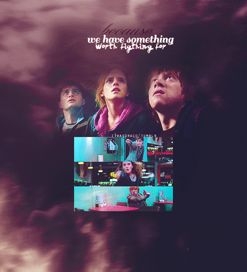 Harry Potter GIF Find & Share on GIPHY