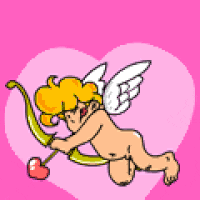 giphy.gif