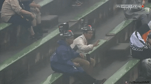 giphy.gif