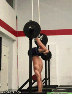 Weight Lifting Handstands GIF by Cheezburger - Find & Share on GIPHY